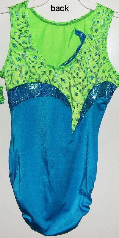 Gk Elite Gymnastics Leotard Leo From Discount Leotards