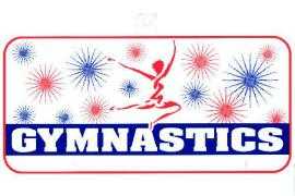 WOW! GYMNASTICS LICENSE PLATE - HOW COOL!